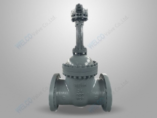 Bolted bonnet gate valve