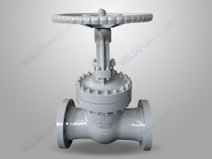 DIN standard LCC gate valve