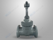 Bolted bonnet gate valve