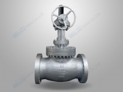 BS1873 gear operated globe valve