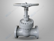 DIN standard LCC gate valve