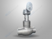 High pressure stop check globe valve