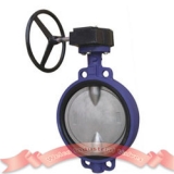 Wafer concentric butterfly valve