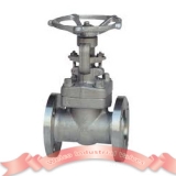 Stainless steel forged steel gate valve